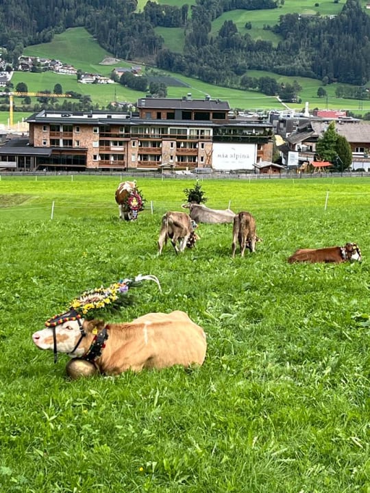 Außenansicht Mia Alpina . Zillertal Family Retreat