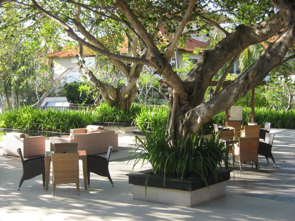 Kleine Bar hinter der Lobby The Laguna A Luxury Collection Resort & Spa