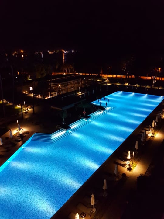 Pool Acanthus Cennet Barut Collection