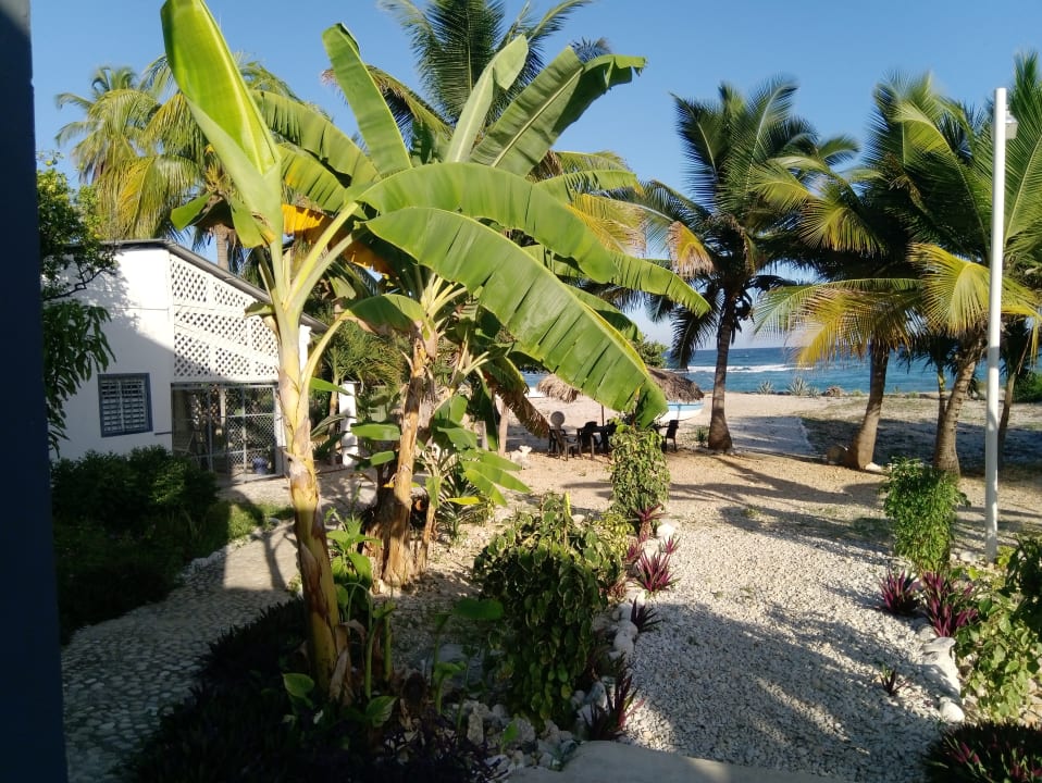 Gartenanlage Hotel Al Mare In B&B