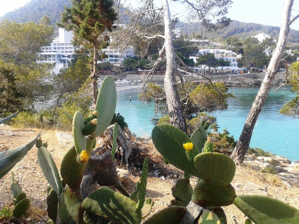 Blick von Minigolfanlage Barceló Portinatx - Adults only