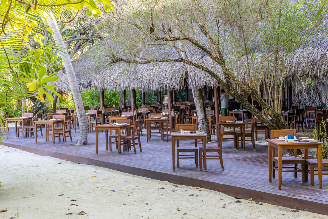 Gastro Summer Island Maldives