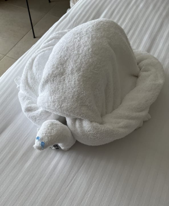 Zimmer Steigenberger Resort Ras Soma