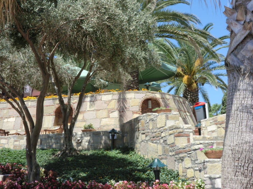 Gartenanlage Arum Barut Collection