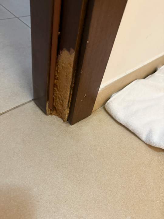 Sonstiges Meliá Dunas Beach Resort & Spa