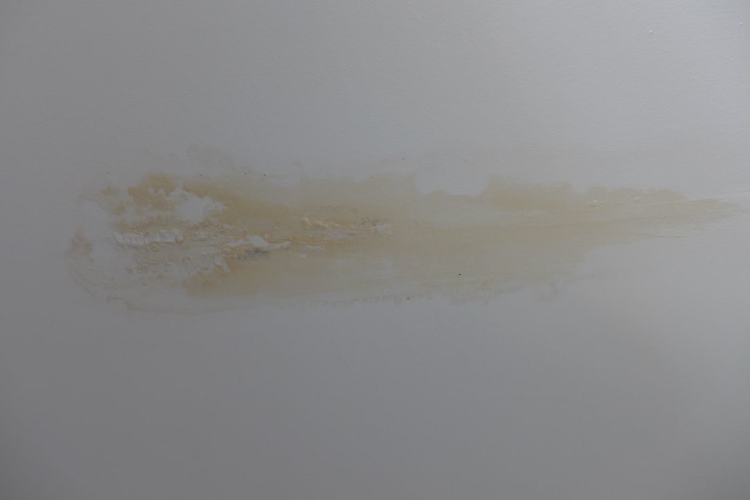 Pilze gibt es gratis db San Antonio Hotel + Spa