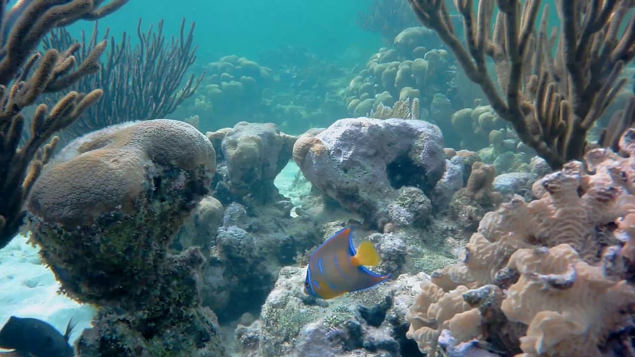 Sport & Freizeit Akumal Bay Beach & Wellness Resort