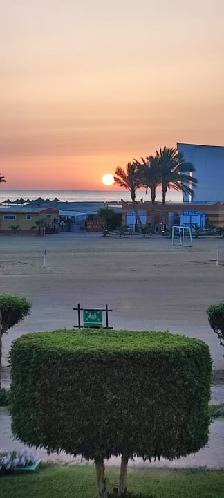 Ausblick Malikia Resort Abu Dabbab