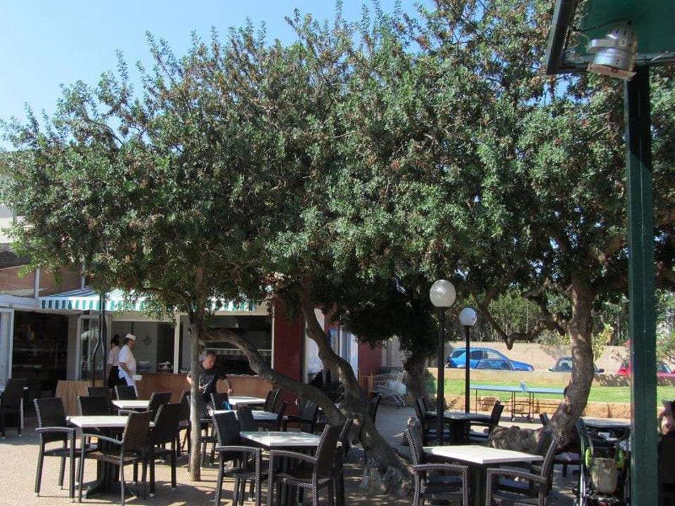 Mittagessen im Schatten Club Simó Hotel by Senator