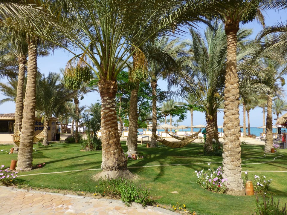 Teil der Gartenanlage Continental Hotel Hurghada