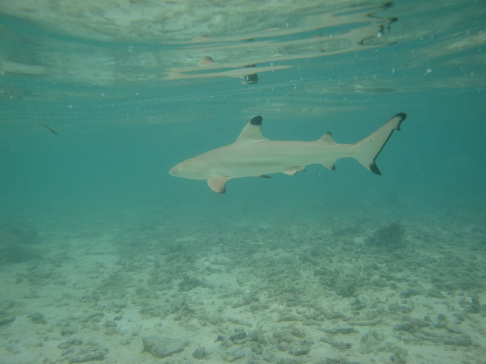 Baby-Hai Adaaran Select Hudhuran Fushi - Premium All Inclusive