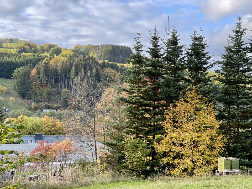 Ausblick Ferienwohnungen Weißflog