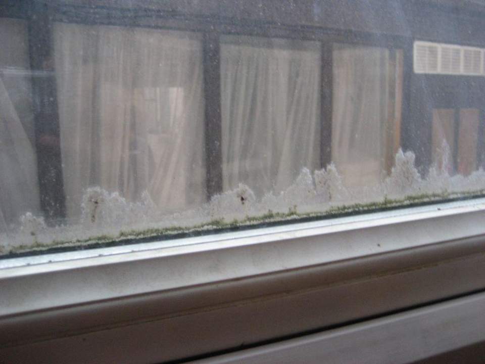 das verschimmelte Fenster Hotel Euro Wembley