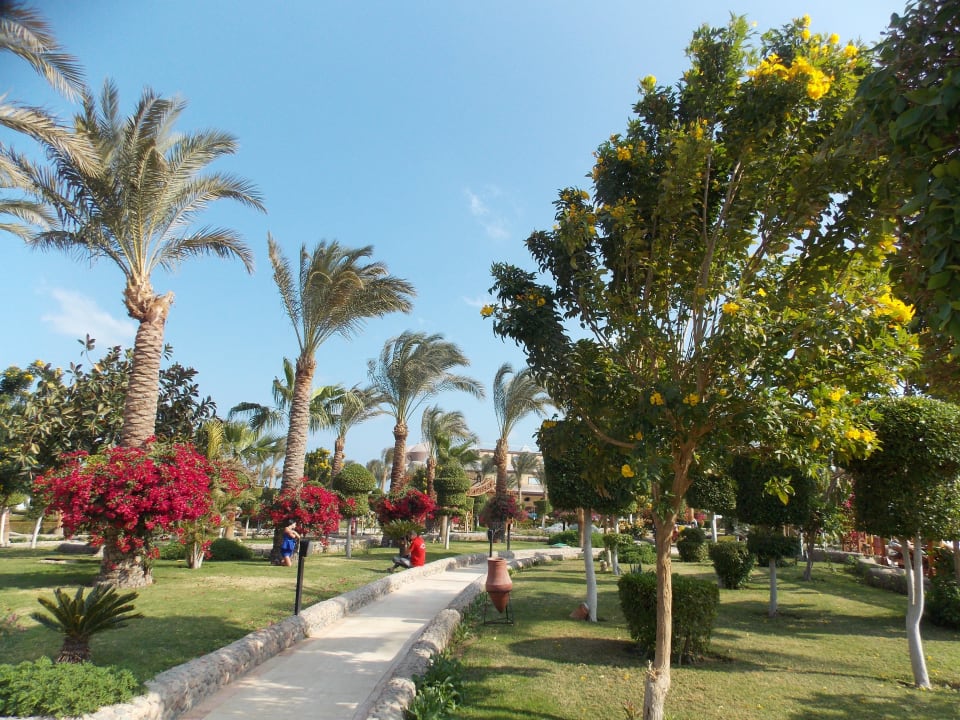 Пальмы на территории отеля Riviera Aqua Park Resort