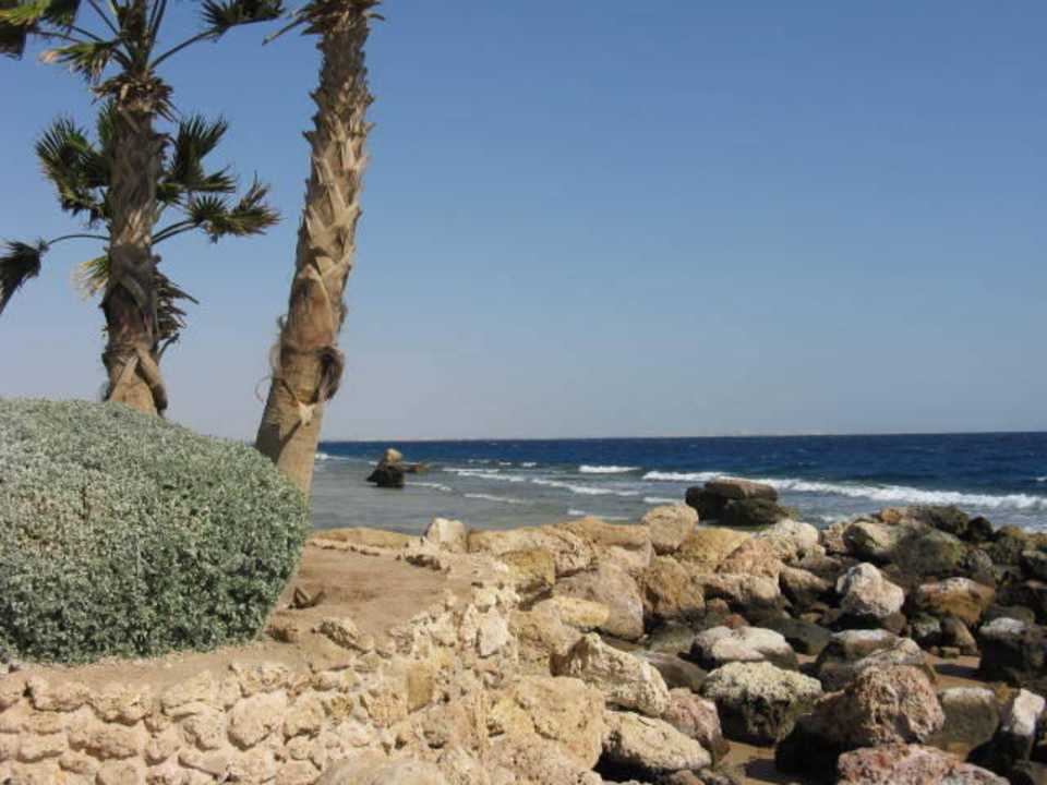 Meerblick Pickalbatros Citadel Resort