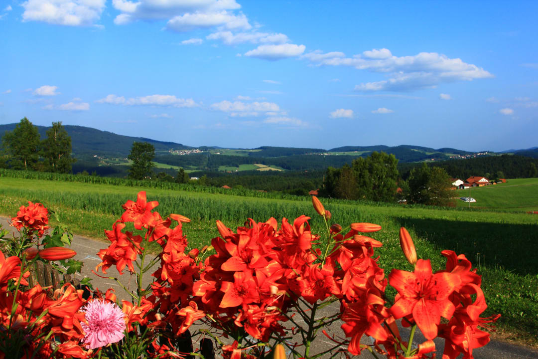 Gartenanlage Ferienhof Dannerbauer