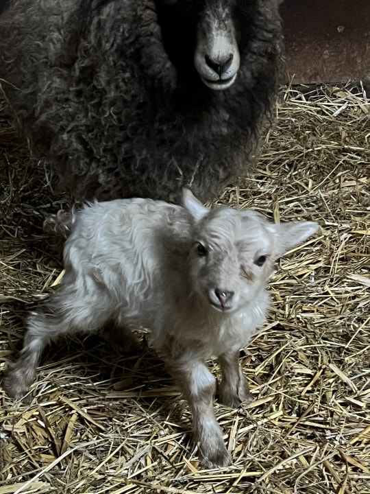 Sport & Freizeit Ferienhof Harms GbR