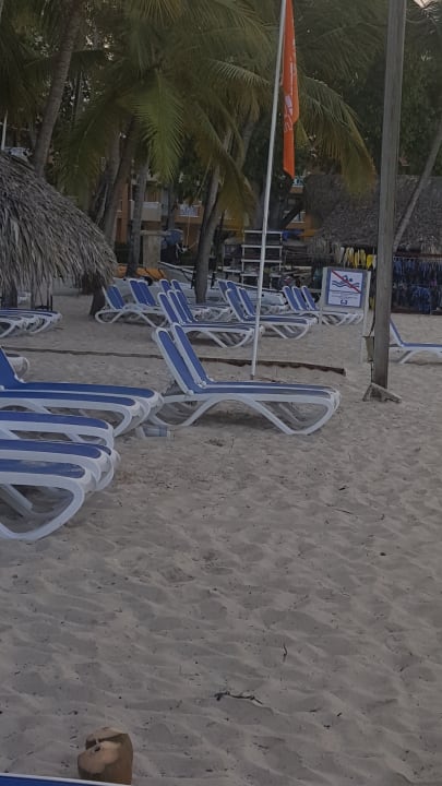 Strand Hotel Viva Dominicus Beach by Wyndham - All Inclusive Resort