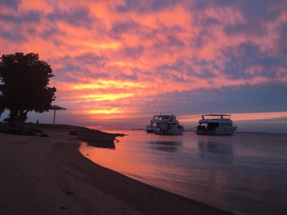 Strand Eagles Paradise Abu Soma