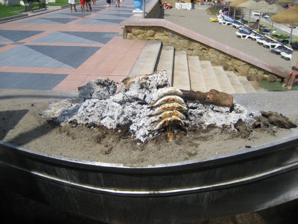 Strandpromenade Hotel Riu Nautilus - Adults only