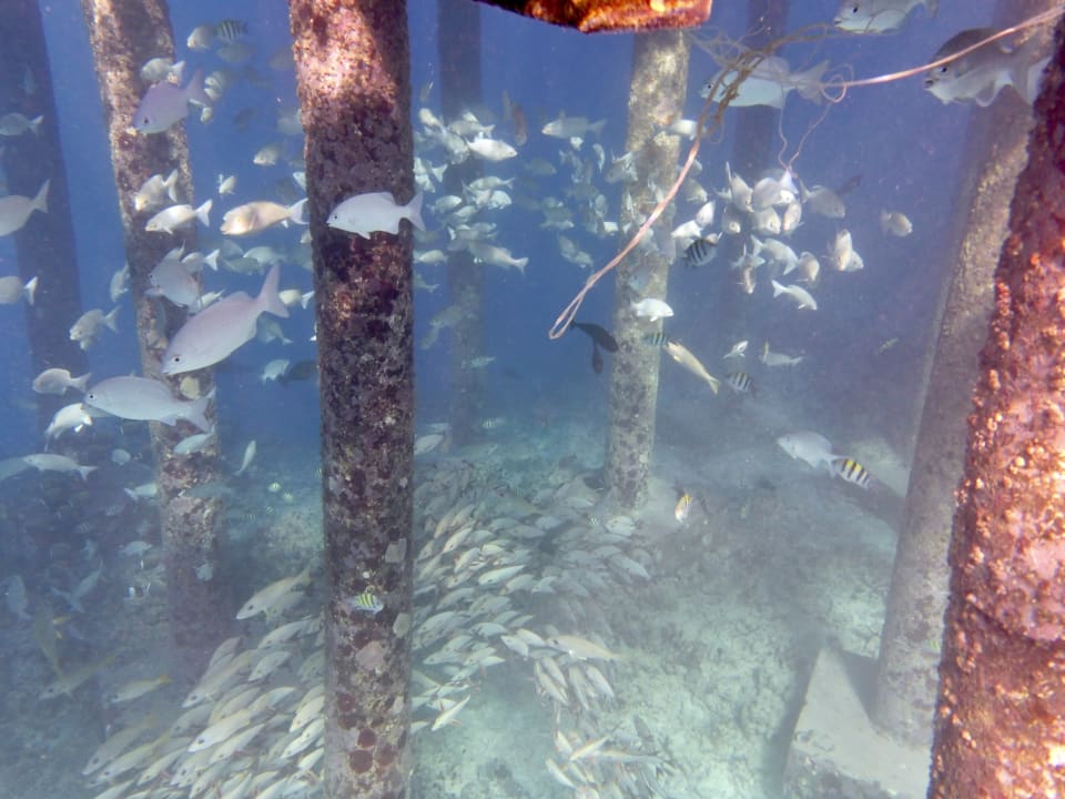 Sport & Freizeit Hondaafushi Island Resort