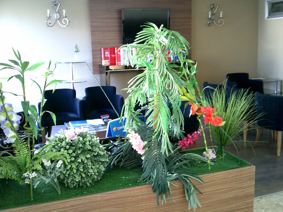 Lobby Merve Sun Hotel & Spa