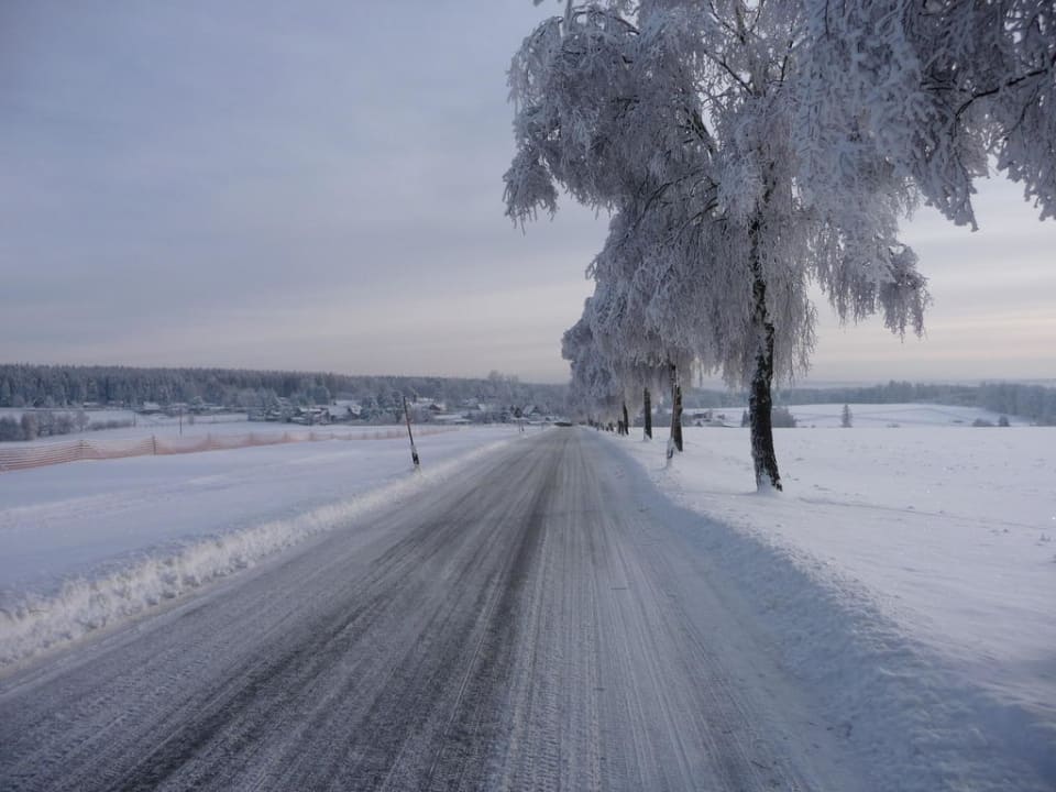 Birkenallee im Winter Gasthof Brauner Hirsch