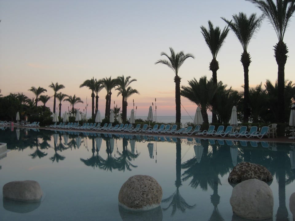 Einfach schön PALOMA Perissia