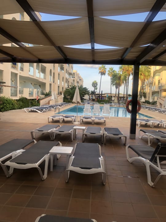 Pool Grupotel Alcudia Pins