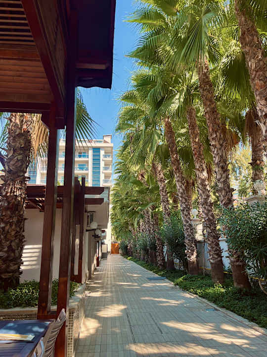 Gartenanlage Dizalya Palm Garden