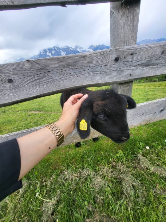 Gartenanlage Abelhof