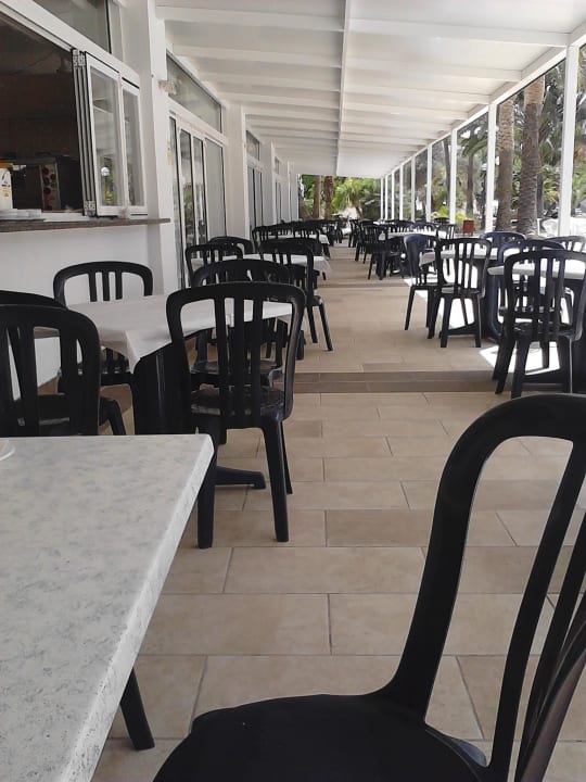 Draußen Calimera Fido Gardens