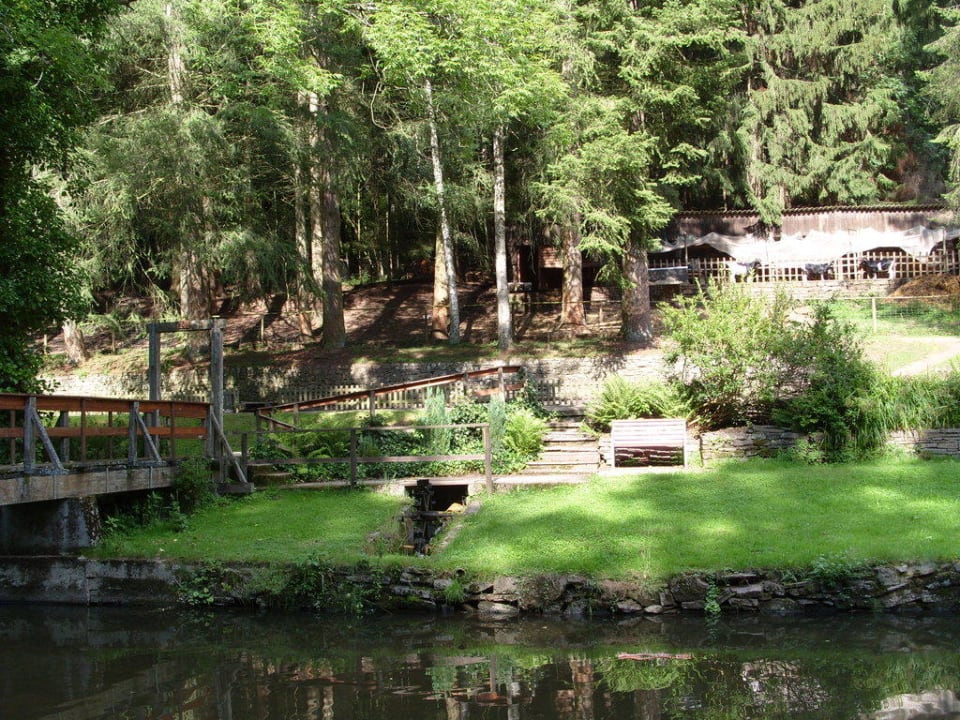 Parkähnliche Gartenanlage Land-gut-Hotel Heidsmühle