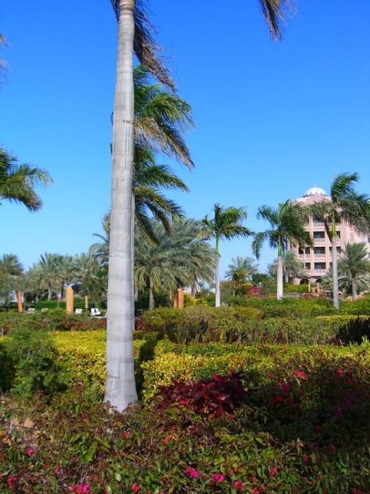 L'hotel Emirates Palace Mandarin Oriental