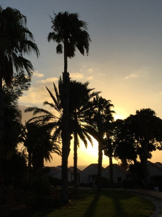 Gartenanlage Aldiana Club Fuerteventura