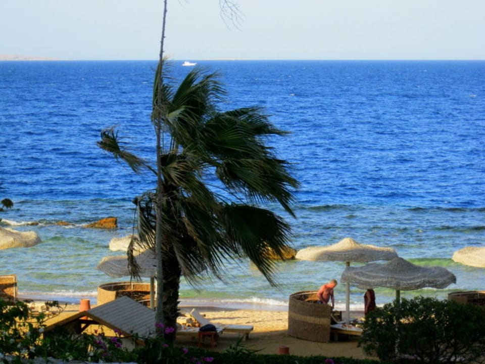 Citadel Beach Pickalbatros Citadel Resort