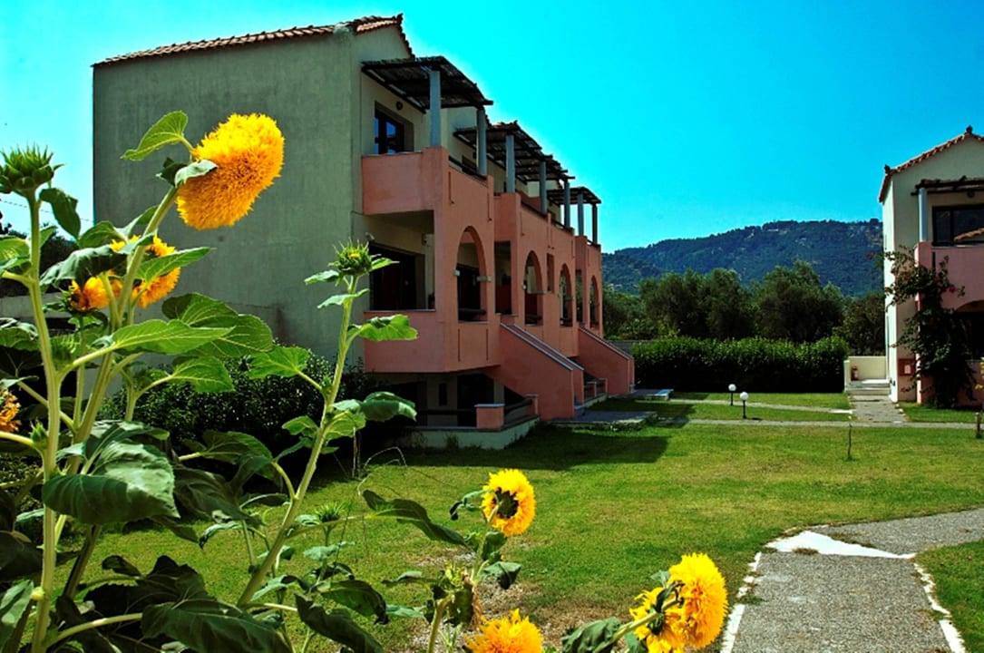 Skopelos - Rigas Hotel - Studios complex Hotel Rigas