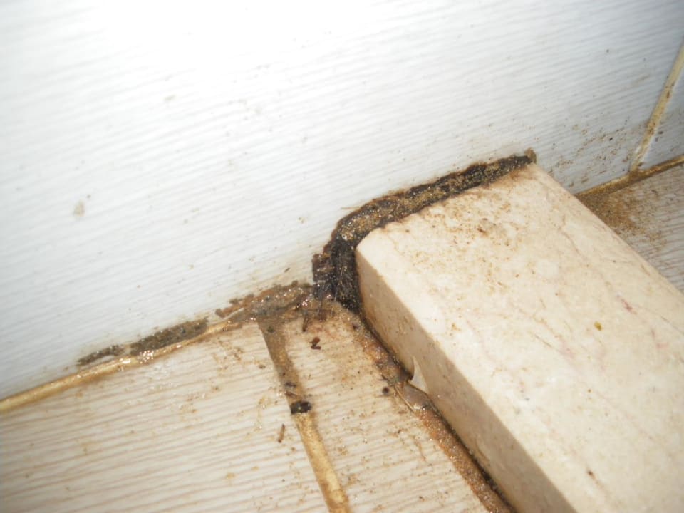 Schimmel und Schleim bei der Dusche am Pool Top Hotel