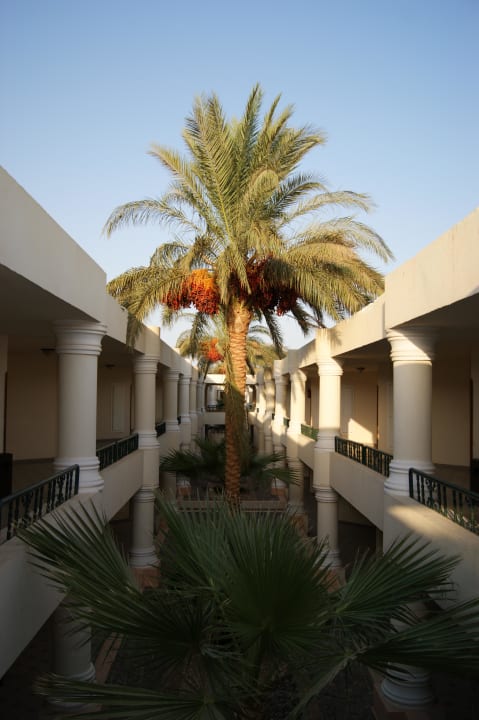 Korytarze Ali Baba Palace Hotel
