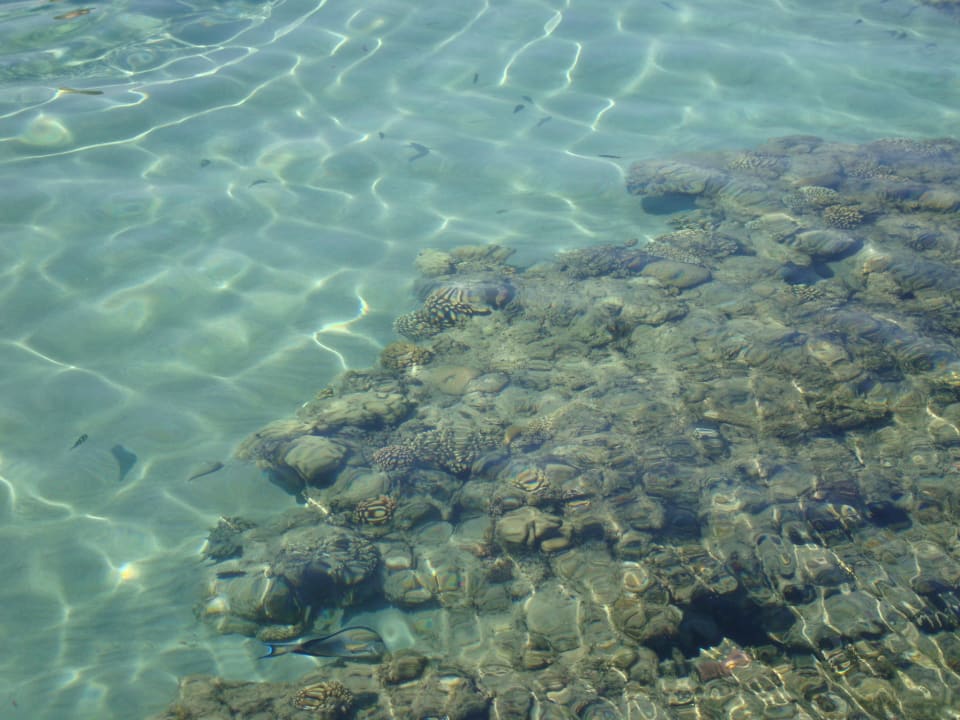 Kristalklares Meer Premier Le Reve Hotel & Spa