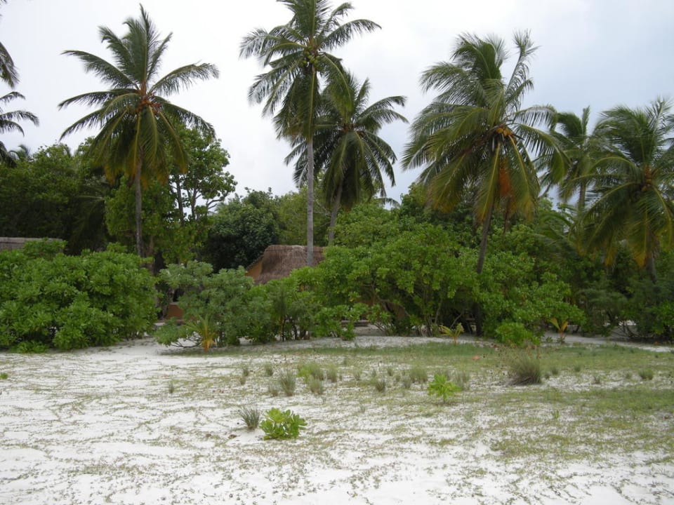 Strand Beach Bungalows Kuredu Kuredu Island Resort & Spa