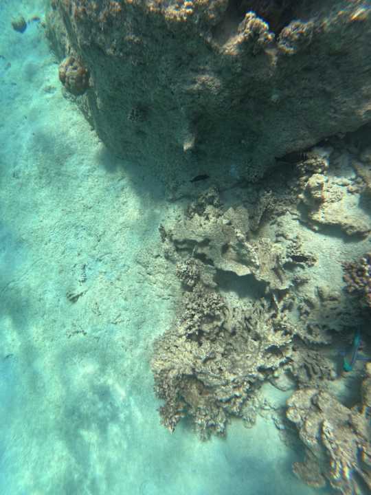 Strand Sirena Beach Resort & Spa