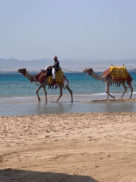 Strand ROBINSON SOMA BAY