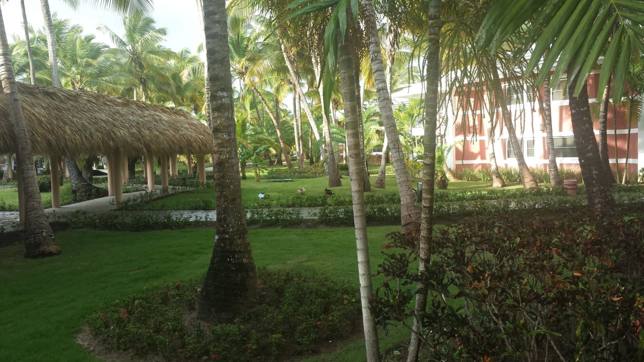 Blick von der Terrasse Grand Palladium Select Bávaro Resort & Spa