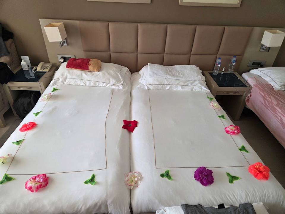 Zimmer Cleopatra Luxury Resort Makadi Bay