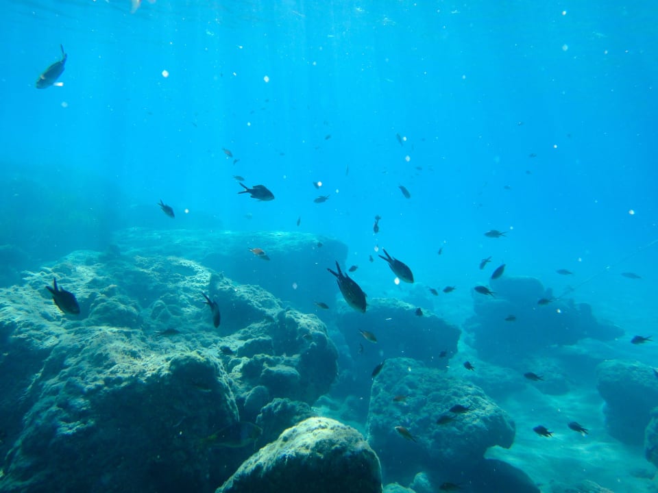 Schnorcheln Atlantica Mikri Poli Crete