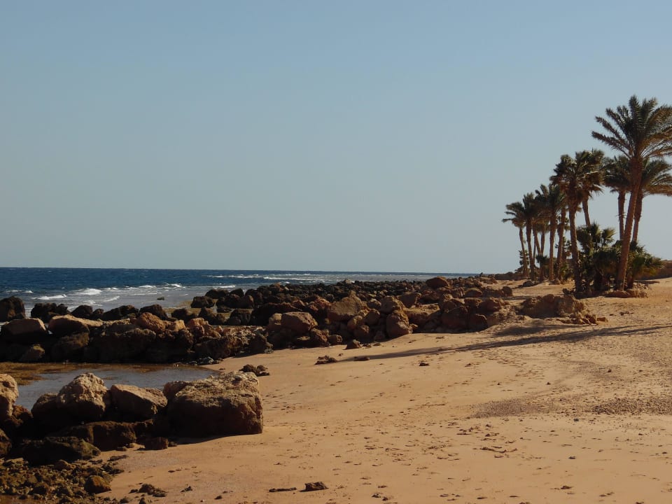 Hier kann man es aushalten Pickalbatros Citadel Resort