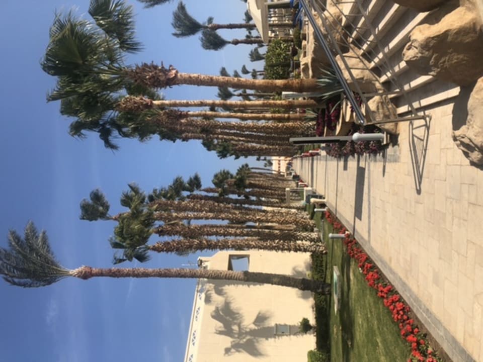 Gartenanlage Pickalbatros Aqua Vista Resort - Hurghada