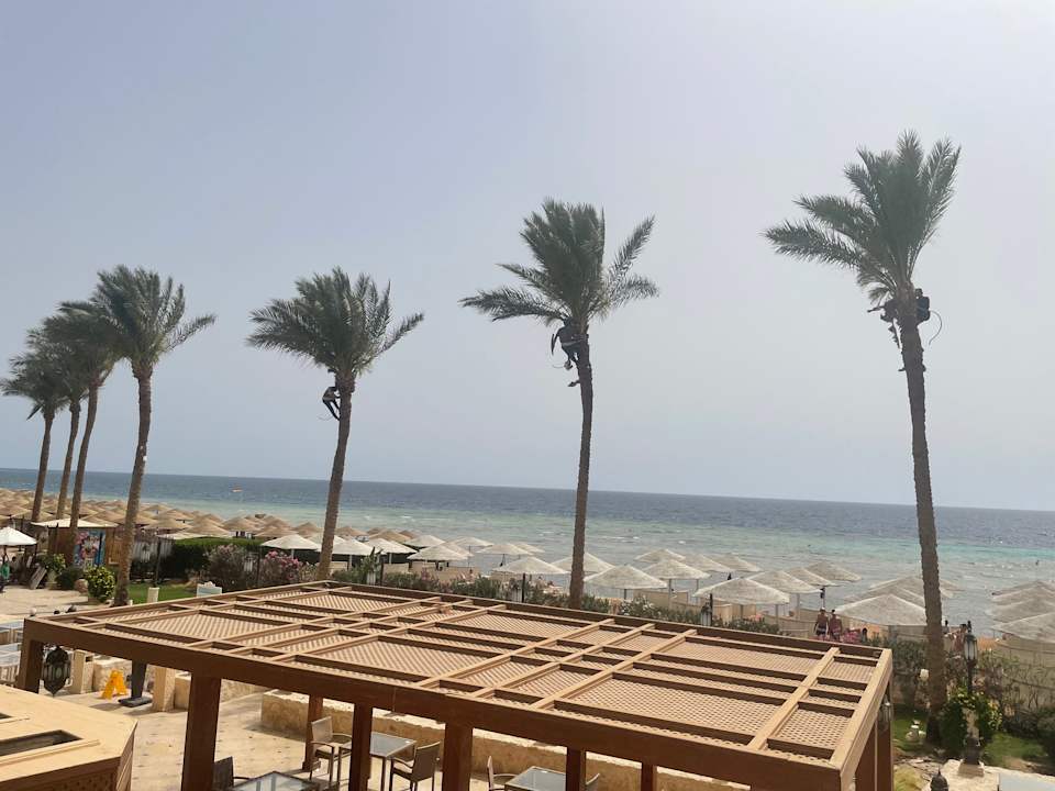 Außenansicht Makadi Spa - Adults only