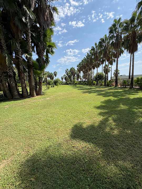 Gartenanlage Royal Atlantis Beach Hotel
